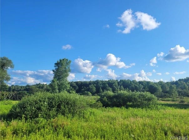 Route 394, Randolph, NY 14772