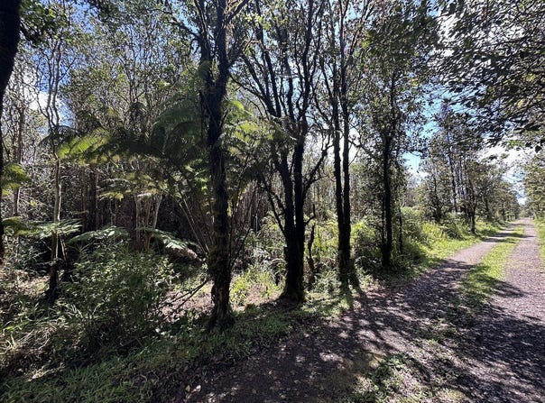 ROAD 11, Mountain View, HI 96771