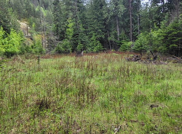 NNA Silver Ave, Bayview, ID 83803