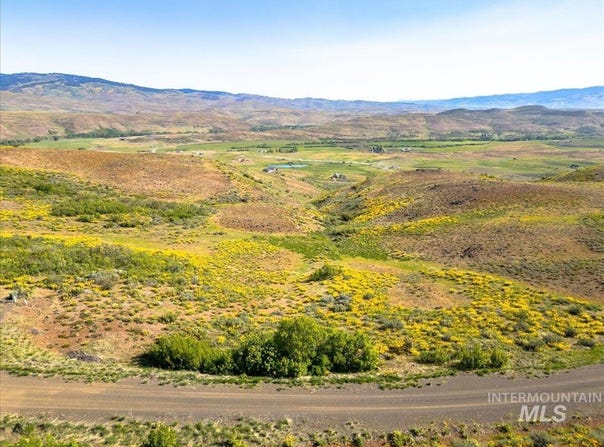 L15 Cuddy View Drive, Council, ID 83612