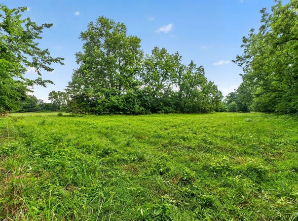 N Farm Road 53, Walnut Grove, MO 65770