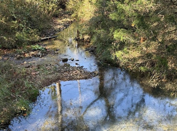 Tract #4 Kirkland Rd, INDIAN MOUND, TN 37079