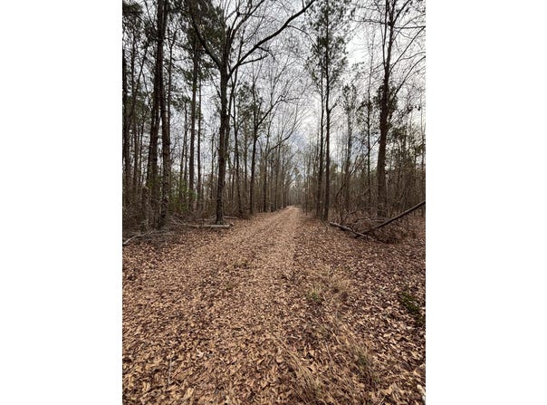 745 Wright Allen Road, Blythe, GA 30805