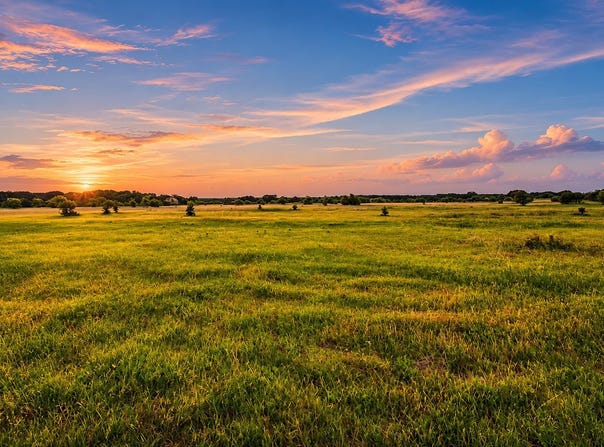 County Road 310, Jonesboro, TX 76585