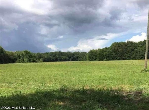 Wilson-bates Road, Morton, MS 39117
