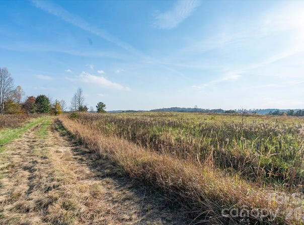 1888 Pea Ridge Road, Mill Spring, NC 28756