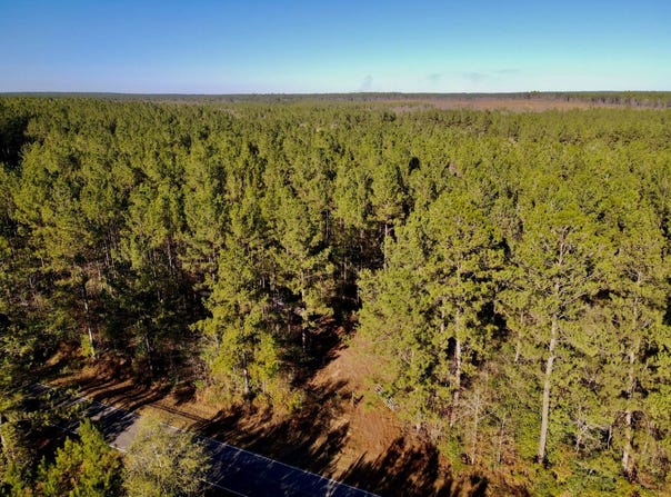 New Hope Road, Wiggins, MS 39577