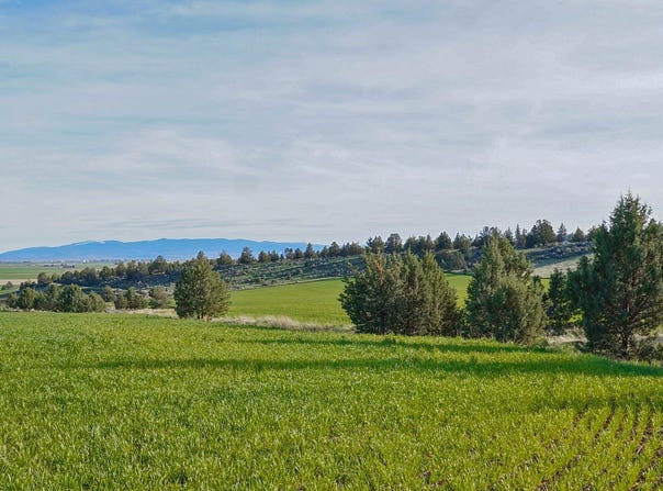 Harpold Rd, Malin, OR 97632
