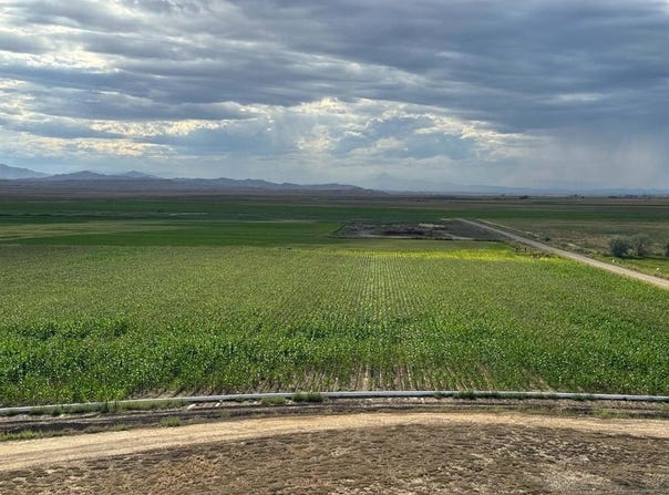 Lane 23, Byron, WY 82412