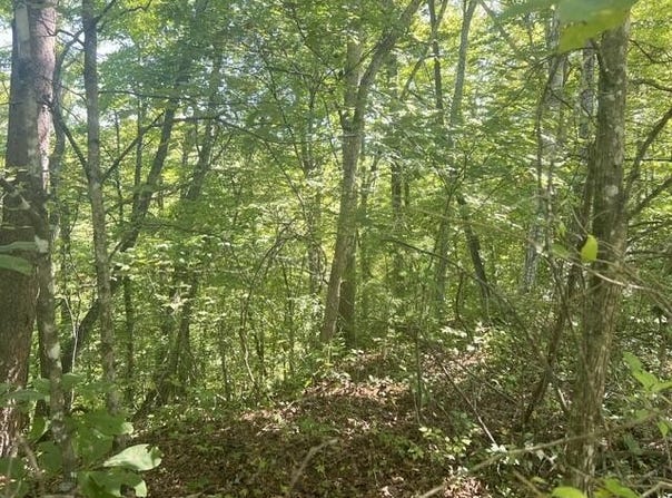 Fox Layre Rd lot: 9, Franklin, NC 28734
