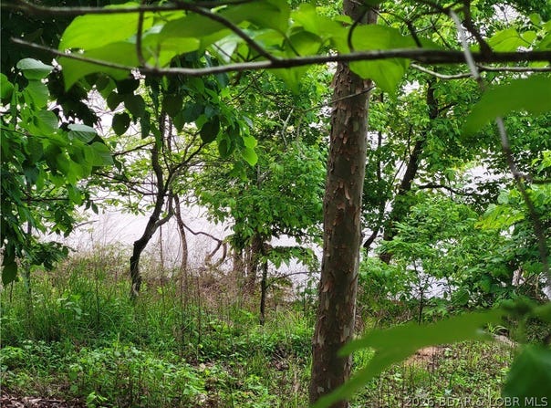 Emerald Hills Drive, Edwards, MO 65326