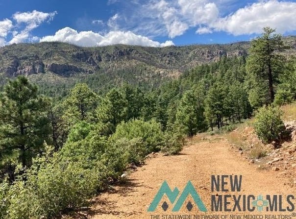 1045 Ctc Ranch Canyon Road, Mora, NM 87732