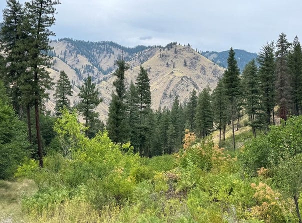 Salmon River Road, Riggins, ID 83549