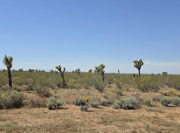 175th St E / Ave W14, Llano, CA 93544