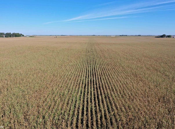 County Highway B63, Mallard, IA 50562