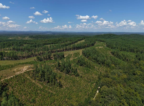 Cedar Creek, Lonsdale, AR 72087