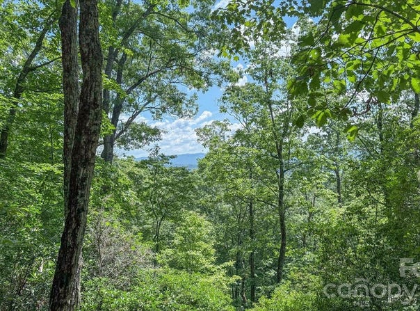 Stone Drive, Brevard, NC 28712