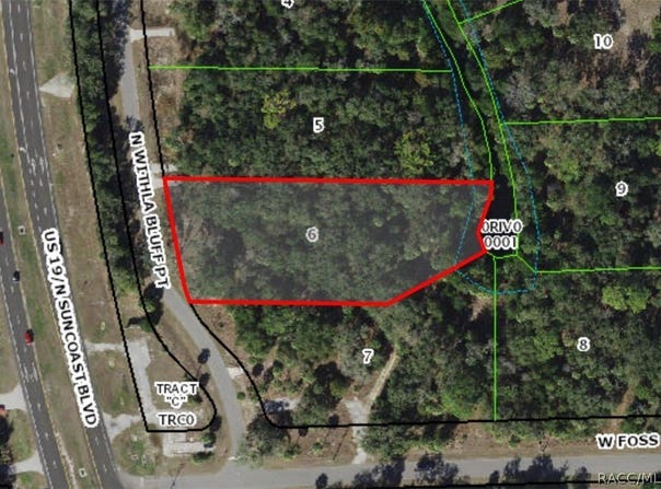 11043 N Withla Bluff Point, Inglis, FL 34449