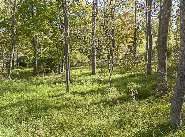 Overlook Cir, Lexington, VA 24450