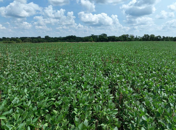 235th Trail, Chariton, IA 50049