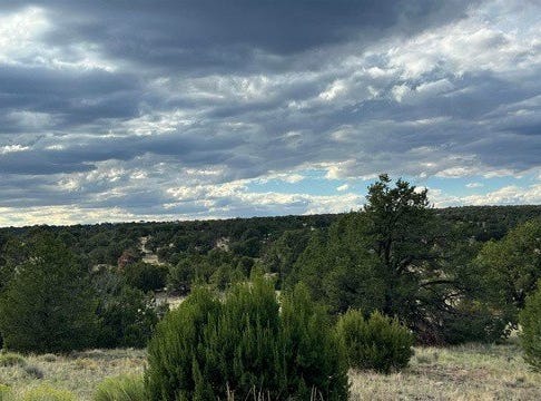 121 Warpath Rd, Quemado, NM 87829
