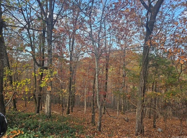 45 BINEFAR WAY, Hot Springs Village, AR 71909