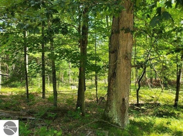 Turtle Lake Road, Prescott, MI 48756