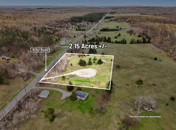 4056 N Ayr Road, Alanson, MI 49706