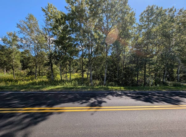 L19.12 South St, Windham, NY 12496