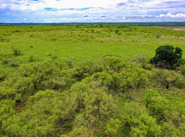 FM 175 Tract #1, Jacksboro, TX 76365