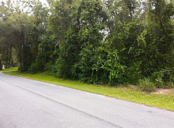 6982 N Palmer Way, Hernando, FL 34442