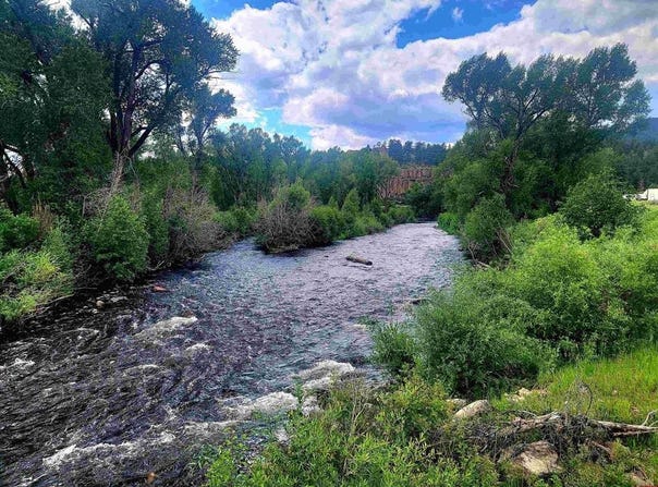 31098 Hwy 160, South Fork, CO 81154