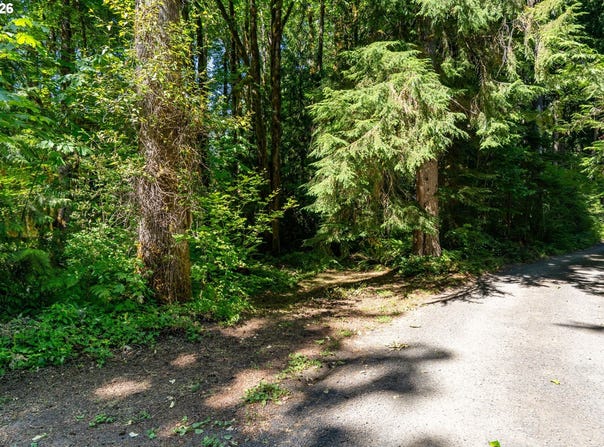 E Zig Zag River Rd, Rhododendron, OR 97049