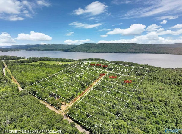 Durham Road lot: 1 1.4 Acres, Langston, AL 35755