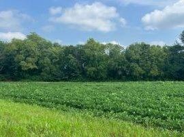 720 CR 1350 N, Sullivan, IL 61951