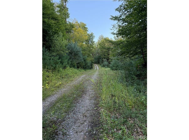 River Road lot: #2, Boonville, NY 13309