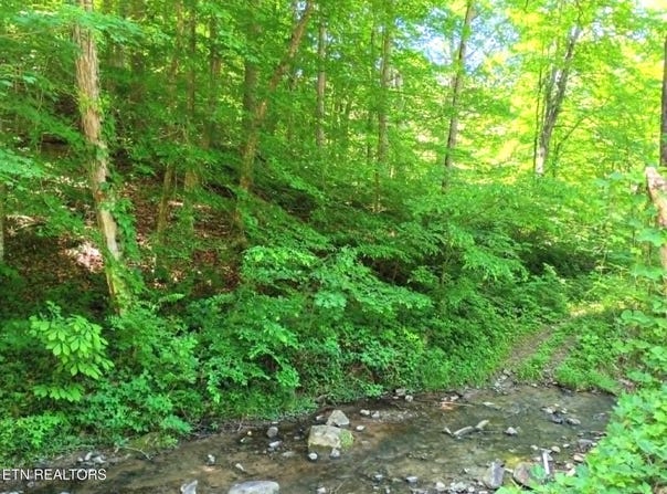 9025 Conner Rd, Powell, TN 37849