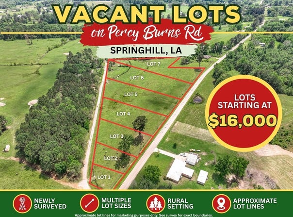 08 Percy Burns Road, Springhill, LA 71075