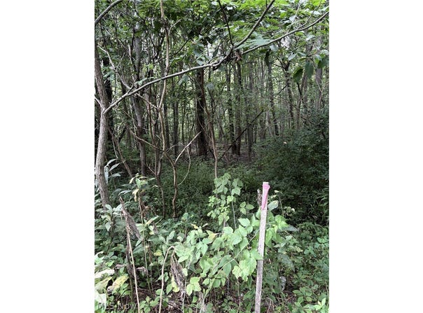 Center Road, Garrettsville, OH 44231
