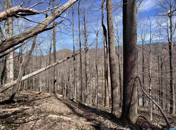 BEECH GROVE RD, ROSELAND, VA 22967