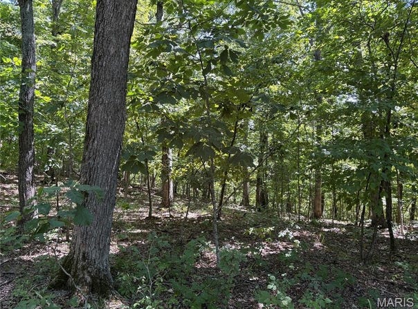 5.49 Acres T Warren, Warrenton, MO 63383