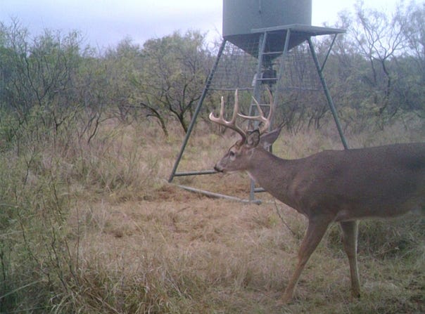 FM 2321 TRACT 2, Bellevue, TX 76228
