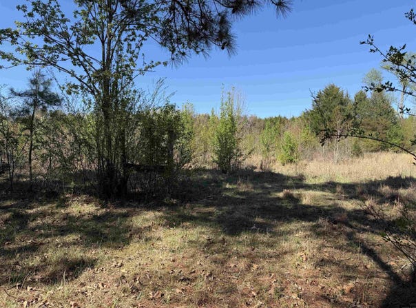 213 Primrose Lane, Judsonia, AR 72081