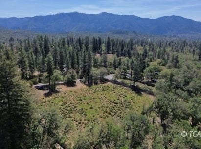 1321 Brady Rd, Hayfork, CA 96041