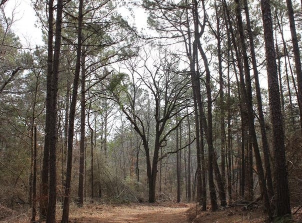PID 5880 FM 225, Douglass, TX 75943