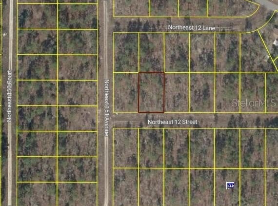 TBD NE 12 Street, WILLISTON, FL 32696