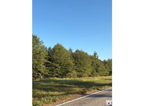 TRACT 6 HWY 990, Simms, TX 75574