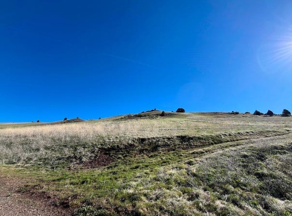 15654 Lake Side Ln, Hornbrook, CA 96044