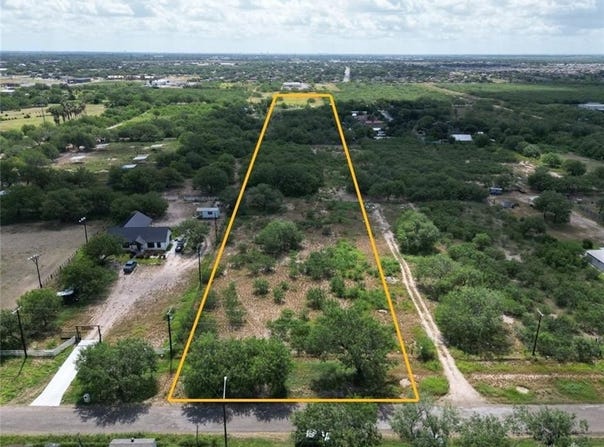 1915 Tordillo Road, Palmview, TX 78572