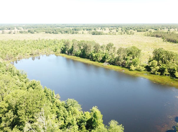 County Road 4308, Simms, TX 75574